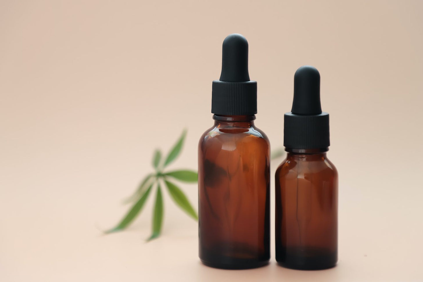 Two dark glass bottles with dropper tops and a hemp leaf leaning against one of them