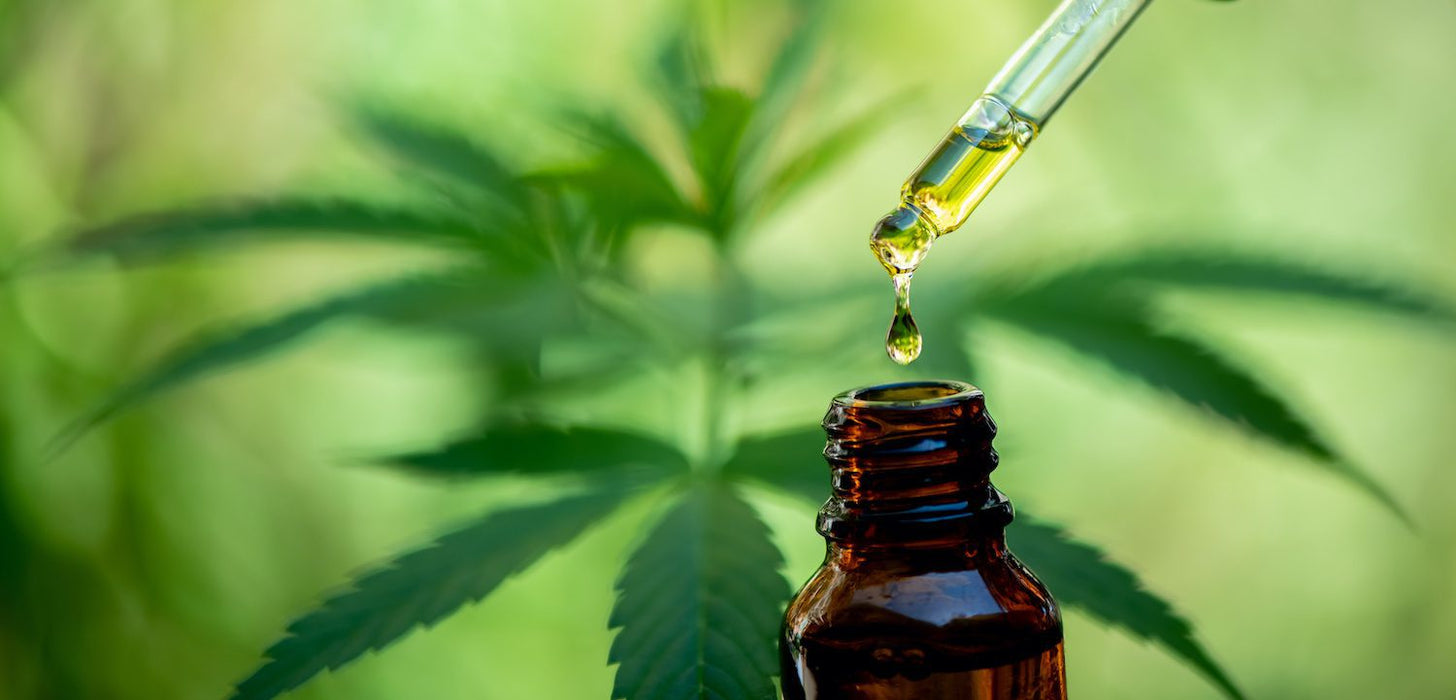 CBD Oil Under Tongue: Taking CBD Sublingually