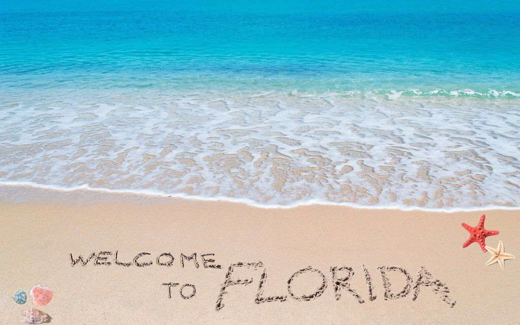 "Welcome to Florida" is scratched in the sand of a beach with crystal clear blue water