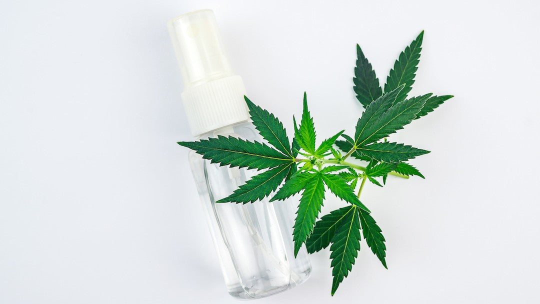 A clear glass bottle lies on a white background with a sprig of hemp leaves next to it