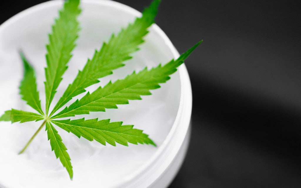 A hemp leaf in a jar of skin cream