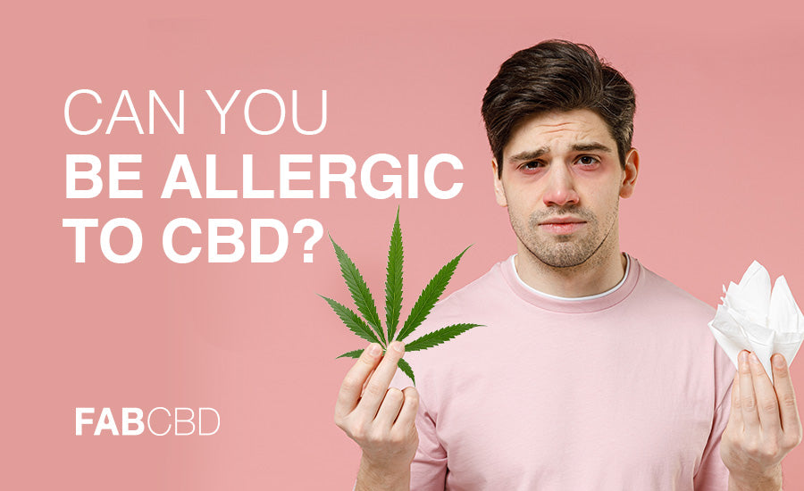 can you be allergic to cbd