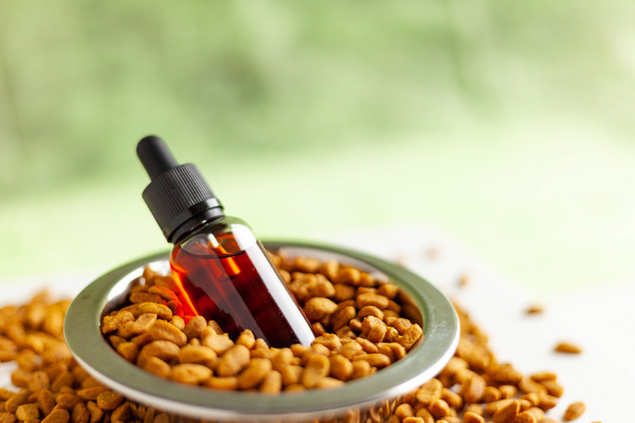 cbd oil in bowl of dog food