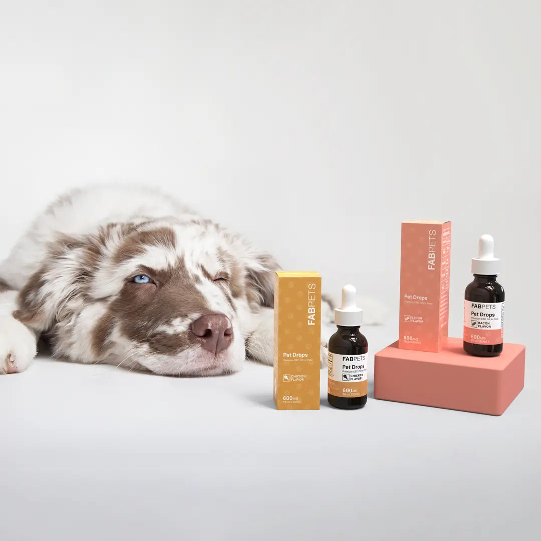 Pet Oil - 3 Pack