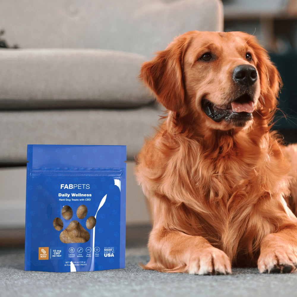 CBD Hard Wellness Treats for Dogs