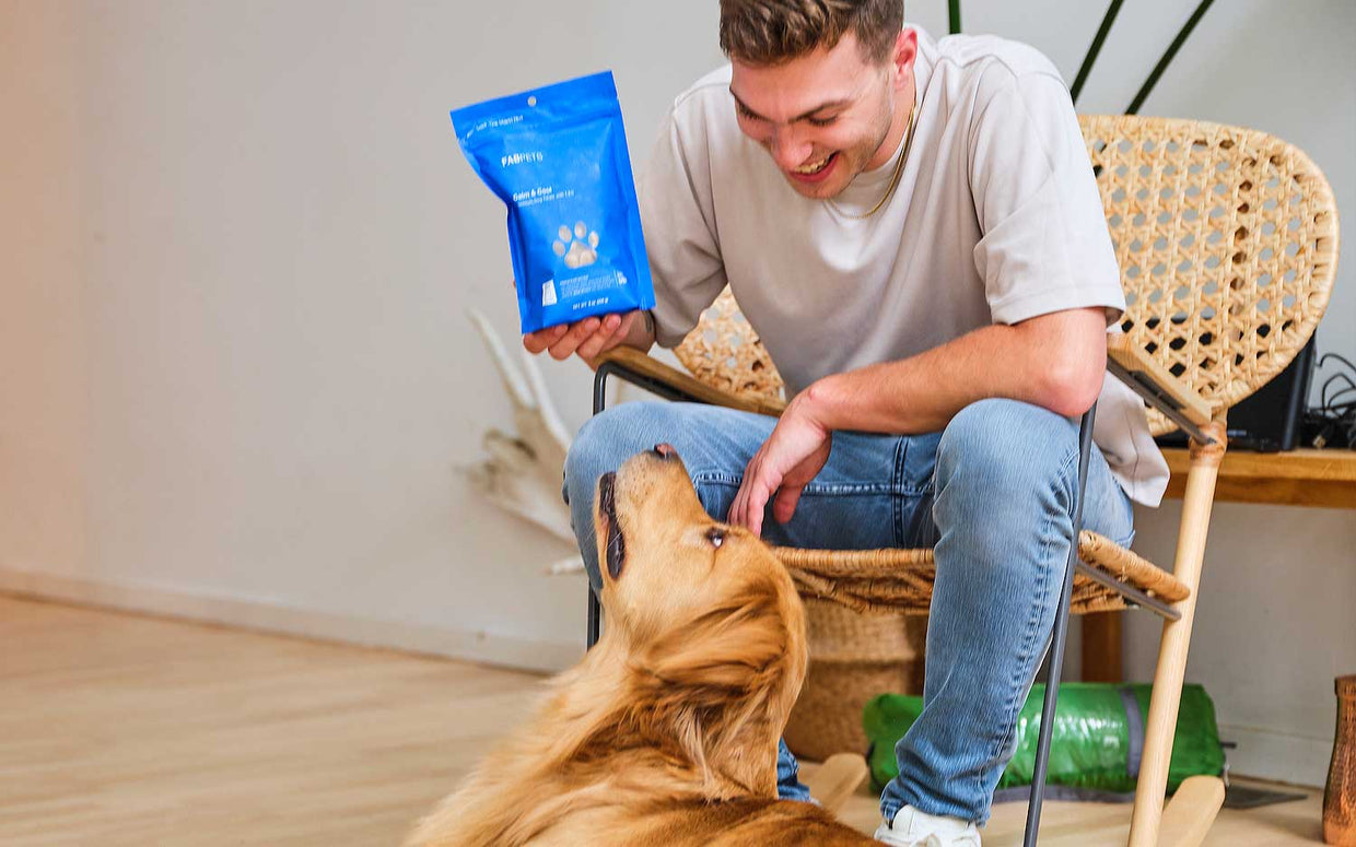 man and his dog with a bag of fab cbd pet treats