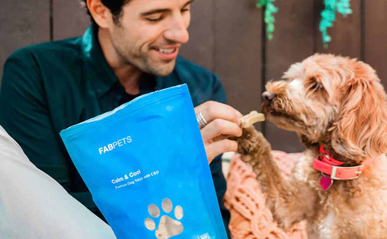 man giving his dog a cbd dog treat