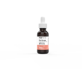 Close-up front view of a brown dropper bottle labeled "CBD Oil for Pets" centered on a white background.