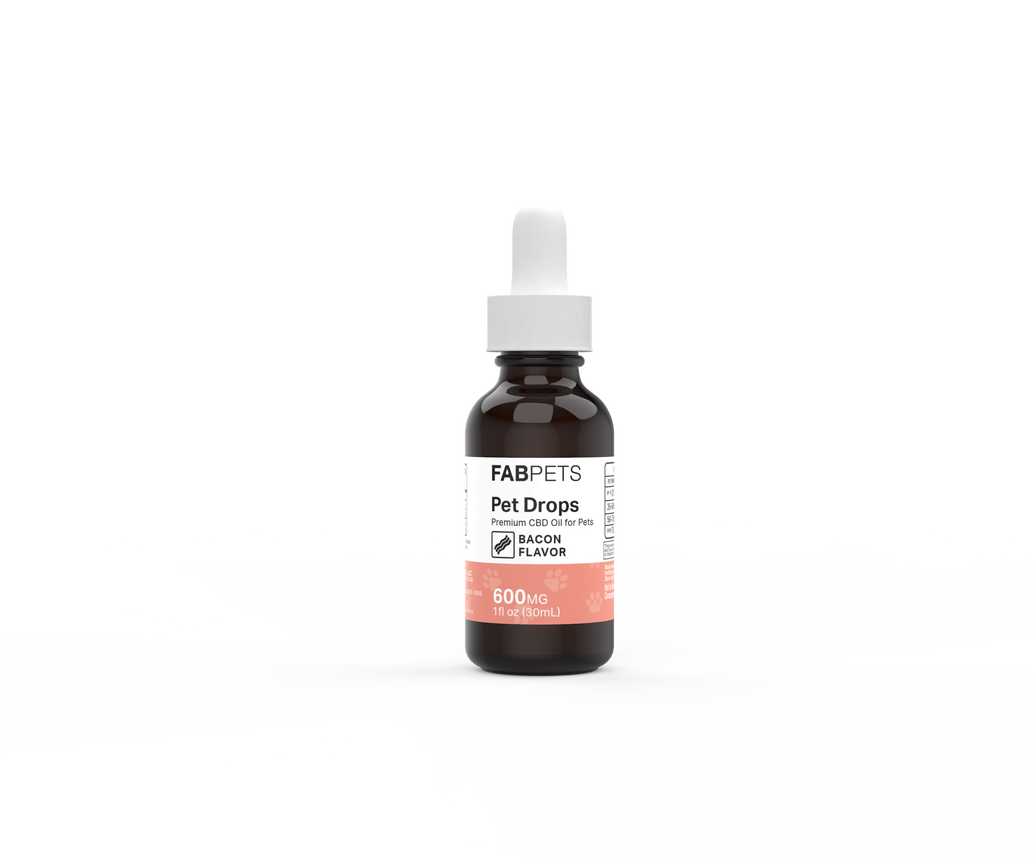 Close-up front view of a brown dropper bottle labeled "CBD Oil for Pets" centered on a white background.