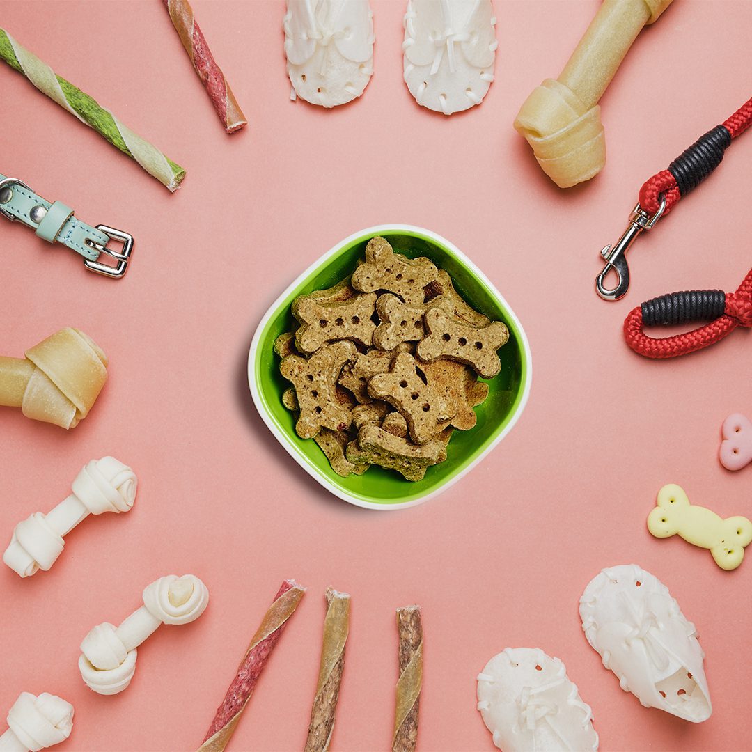 A bowl of dog treats surrounded by an array of chew toys and bones