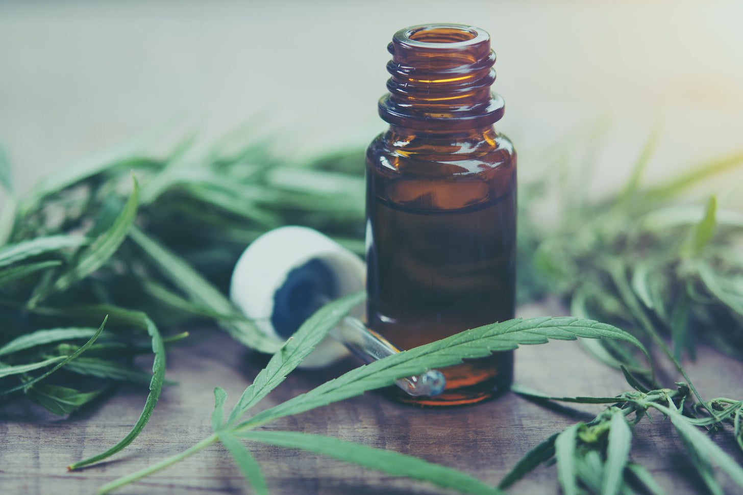 An opened bottle of CBD oil with the dropper resting next to it amongst hemp leaves and buds