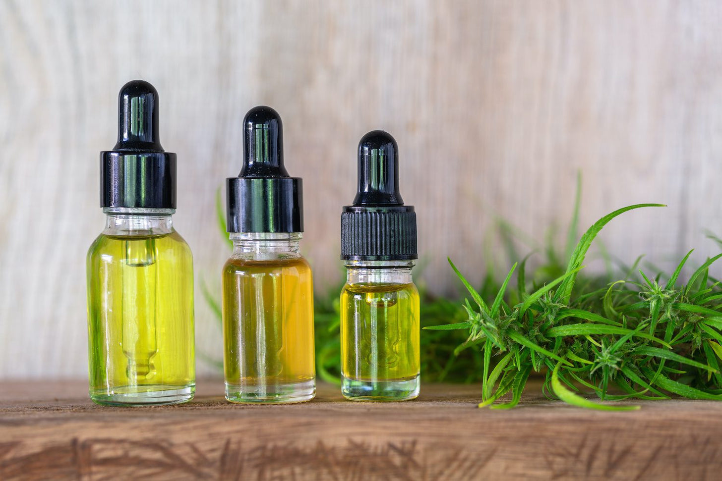 Three CBD oil bottles on a wooden surface next to a bundle of hemp stalks and leaves