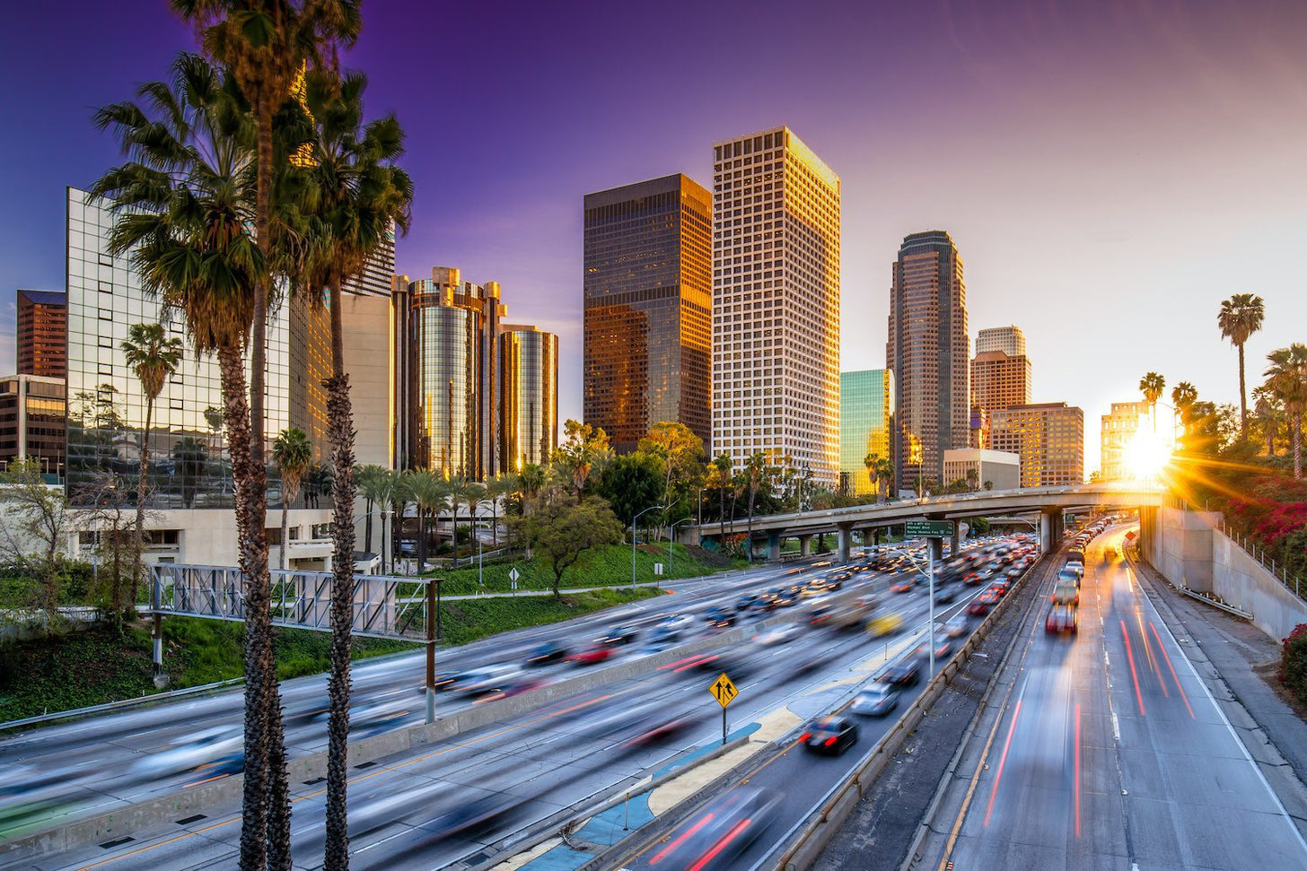 A photo of an LA highway with a palm tree and some city buildings in view