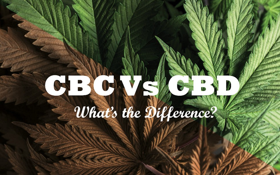 "CBC Vs CBD What's The Difference" written on top op an image of hemp leaves