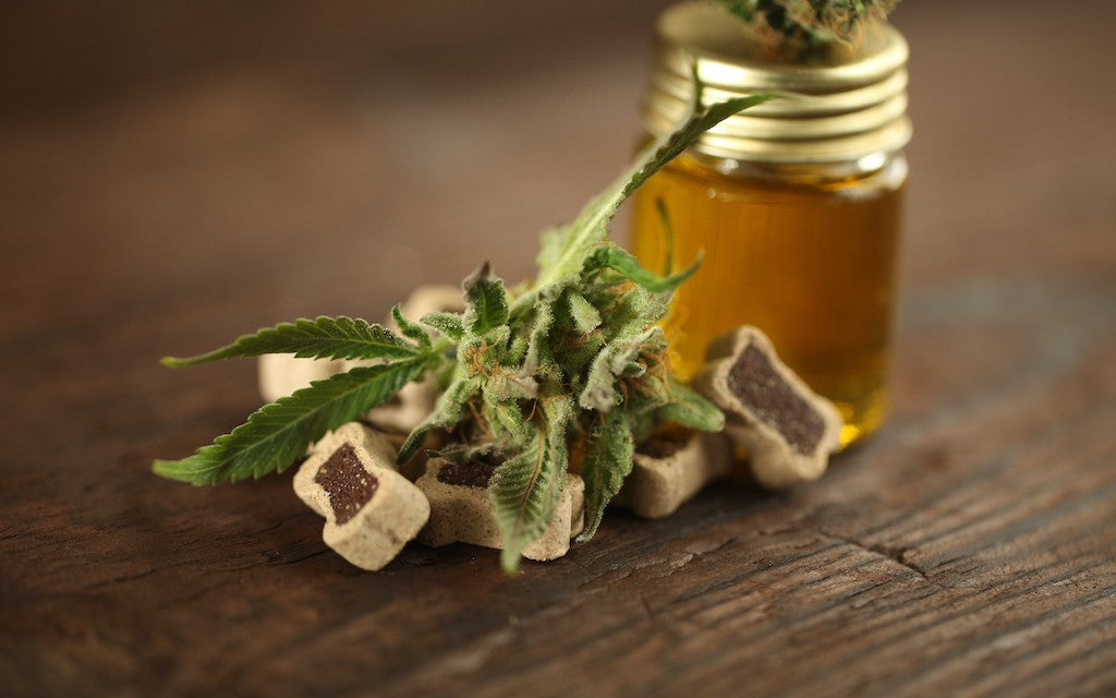 A jar of CBD Oil next to hemp flowers and dog treats