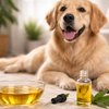 CBD for Dogs: A Comprehensive Guide to Quality, Safety, and How it Works