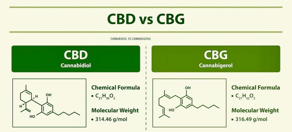 The chemical makeup of CBD and CBG in a side-by-side infographic