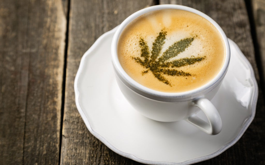 A latte in a white cup and saucer with a hemp leaf in the foam art