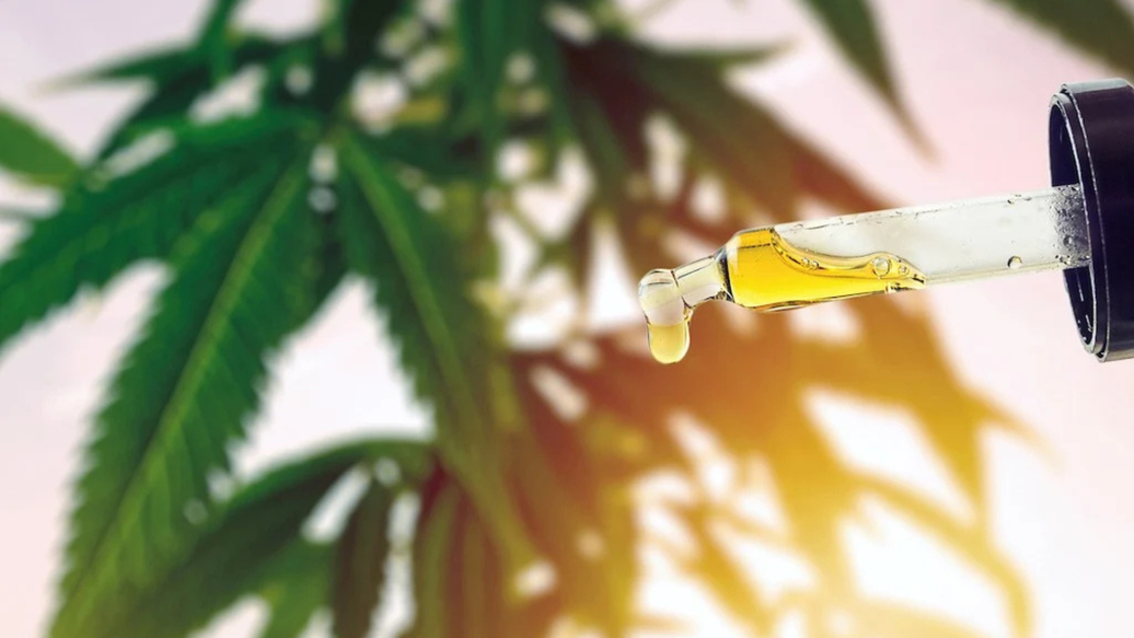 Does CBD Oil Need to Be Refrigerated? Storage Guide