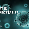 what is homeostasis