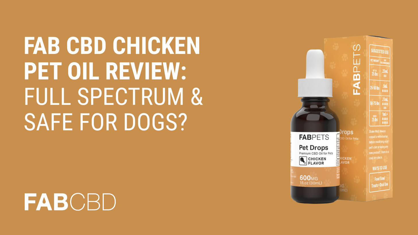 FAB CBD Chicken Pet Oil Review: Full Spectrum & Safe for Dogs?