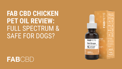 FAB CBD Chicken Pet Oil Review: Full Spectrum & Safe for Dogs?