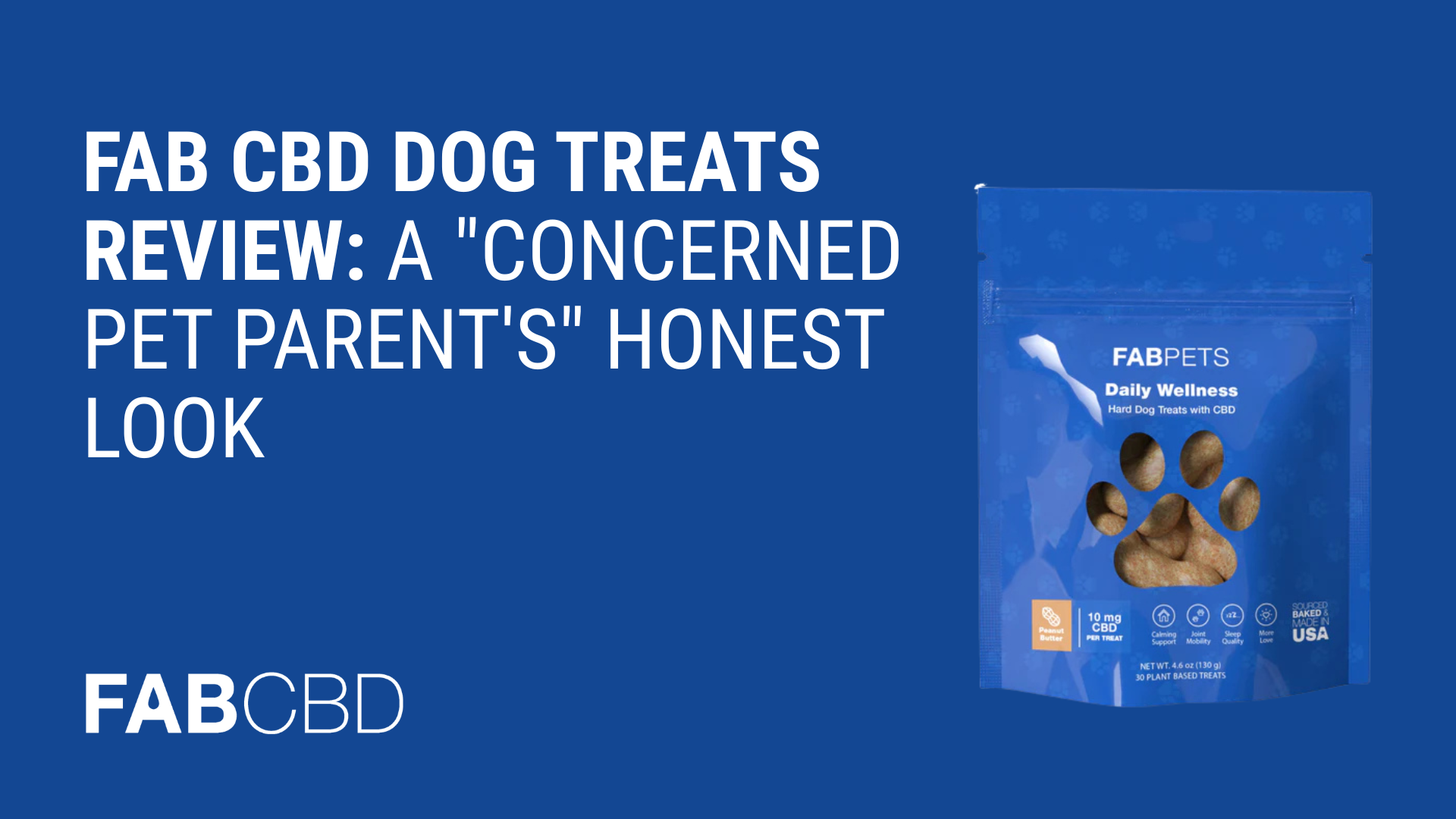 Fab CBD Dog Treats Review_ A _Concerned Pet Parent_s_ Honest Look