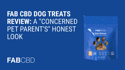 Fab CBD Dog Treats Review: A "Concerned Pet Parent's" Honest Look