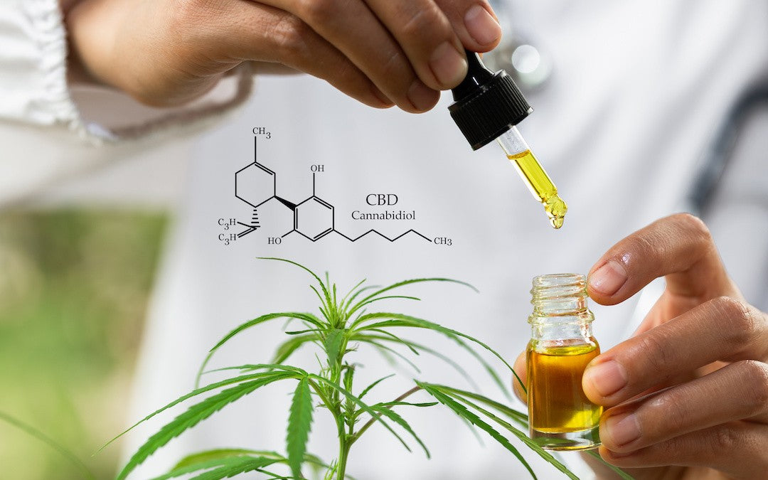 A person in a white lab coat drips CBD oil into a bottle from the dropper, and a hemp plant and the chemical arrangement of CBD are both superimposed over the image