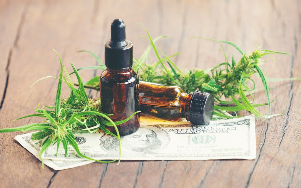dark glass cbd bottles placed on top of money, surrounded by hemp leaves