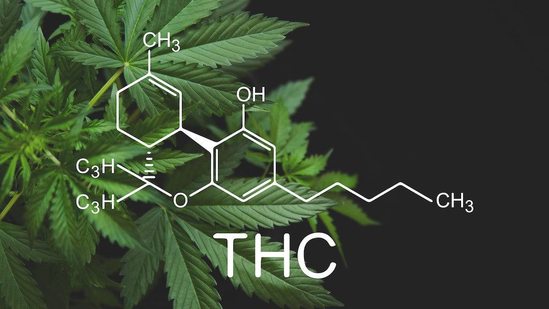 How Much THC is in CBD Oil?