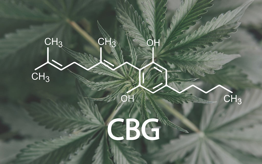 a hemp leaf and the chemical makeup of CBG drawn over it