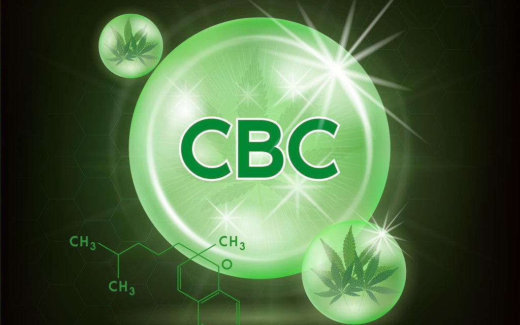 "CBC" in a green bubble, next to two smaller bubbles with hemp leaves inside