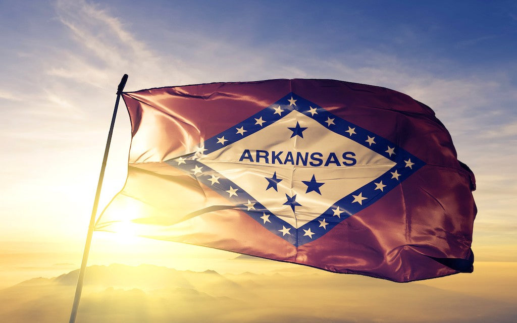 An Arkansas flag blowing in the wind with the sun behind it