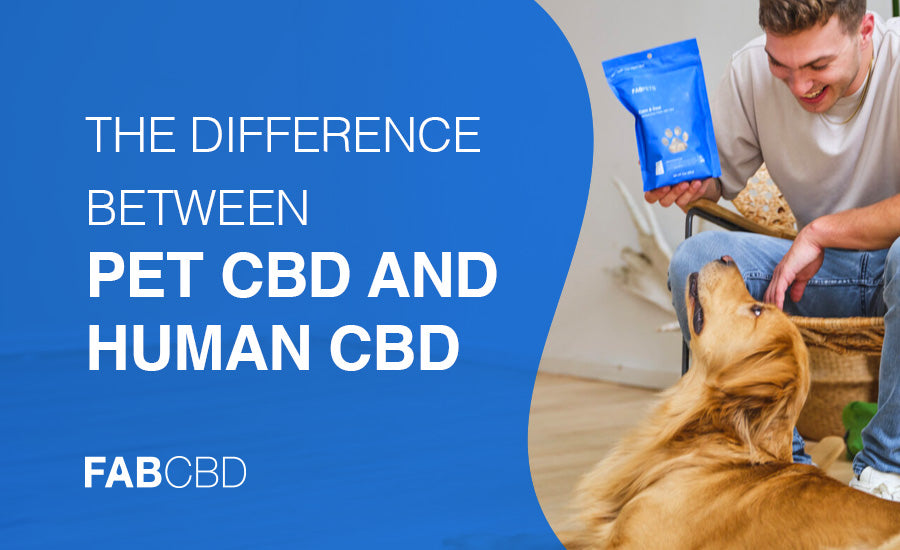 difference between pet cbd and human cbd