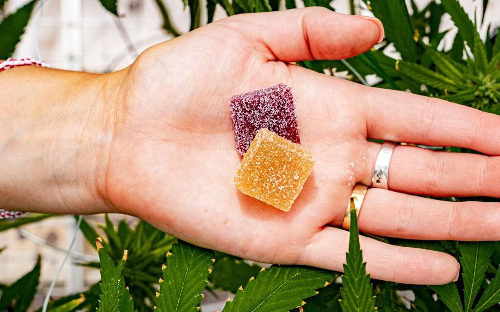 A white woman's hand is outstretched over strewn hemp leaves, and holds two square gummies in the palm.