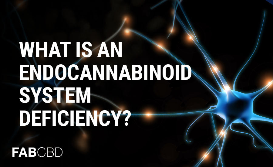 what is an endocannabinoid deficiency