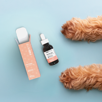 CBD pet oil bottle with dropper next to orange box, set on blue background with dog's paws visible.