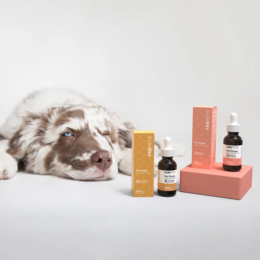 CBD Oil for Pets