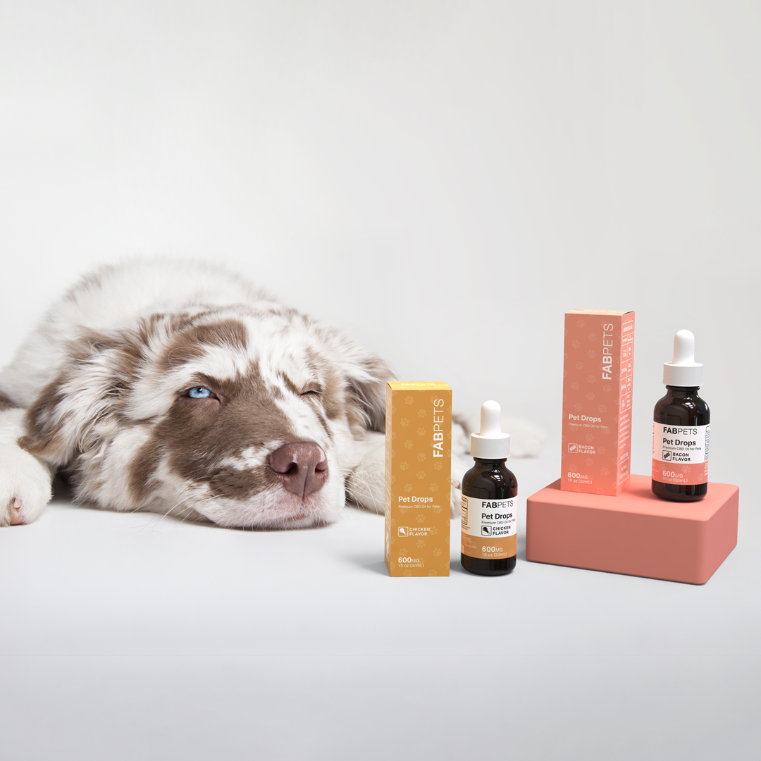 Pet Wellness Bundle