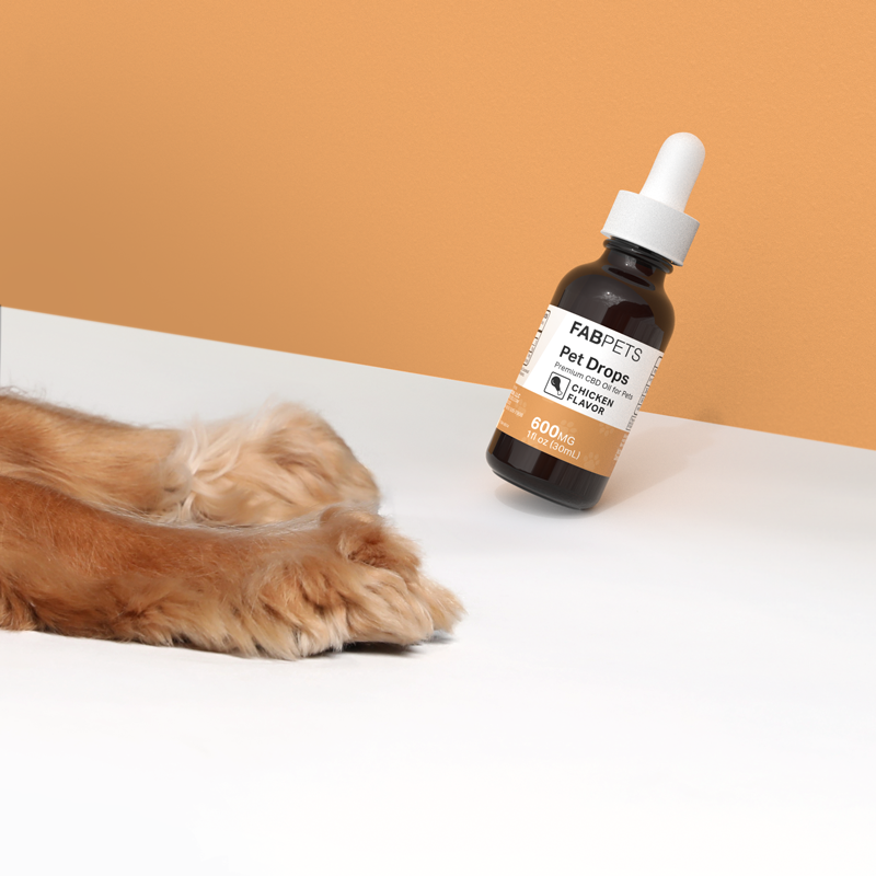 CBD Oil for Pets