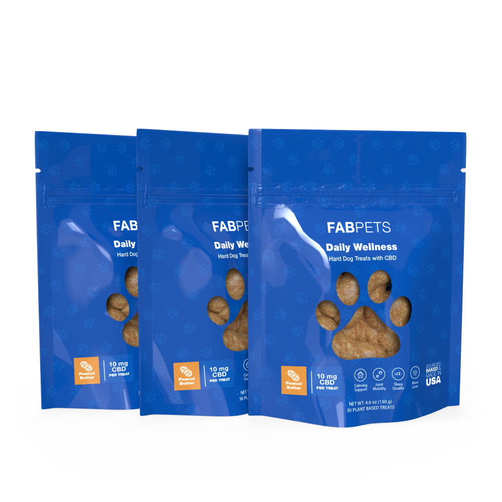 CBD Hard Wellness Treats for Dogs - 3 Pack