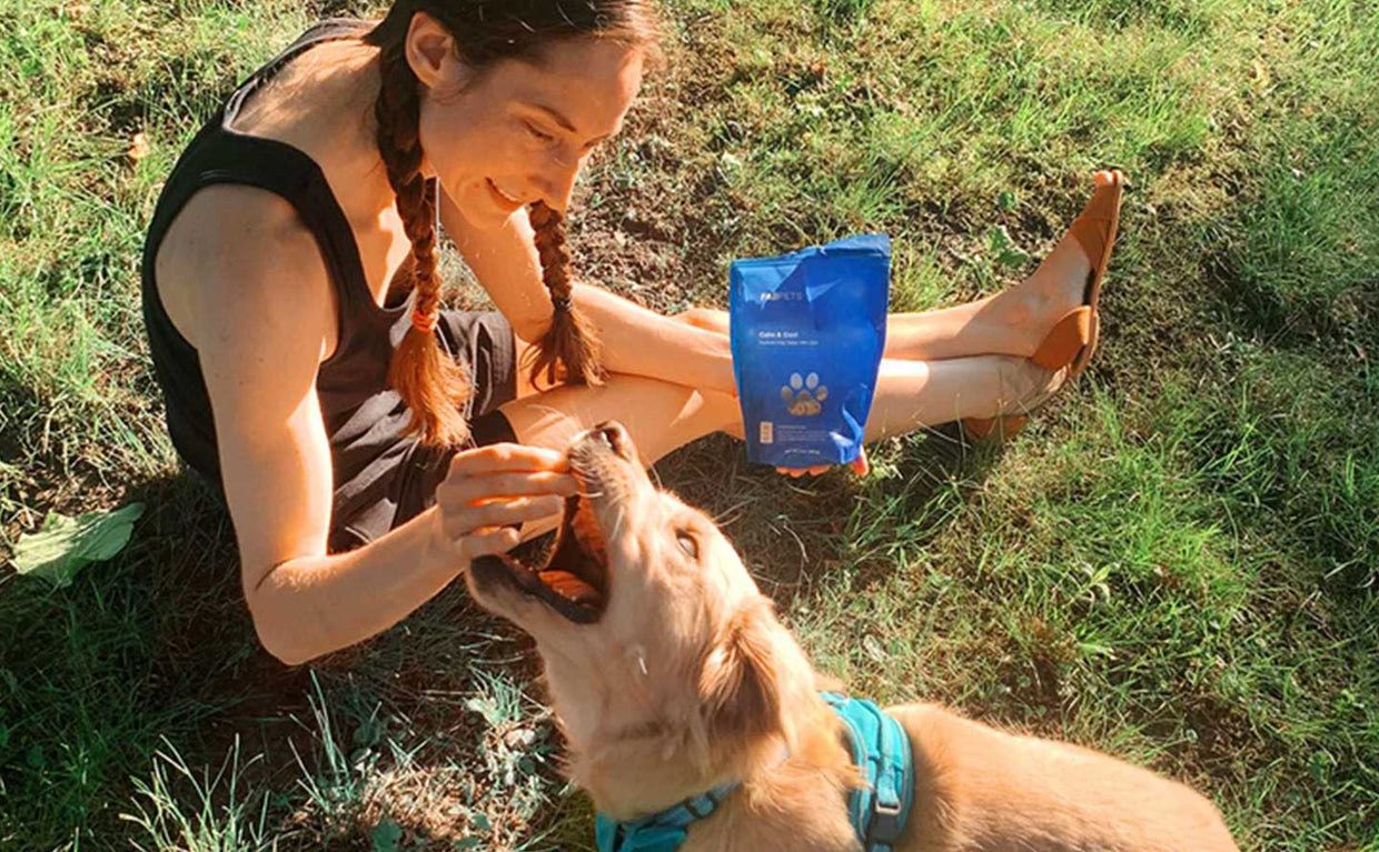woman sitting in grass giving her dog a cbd dog treat