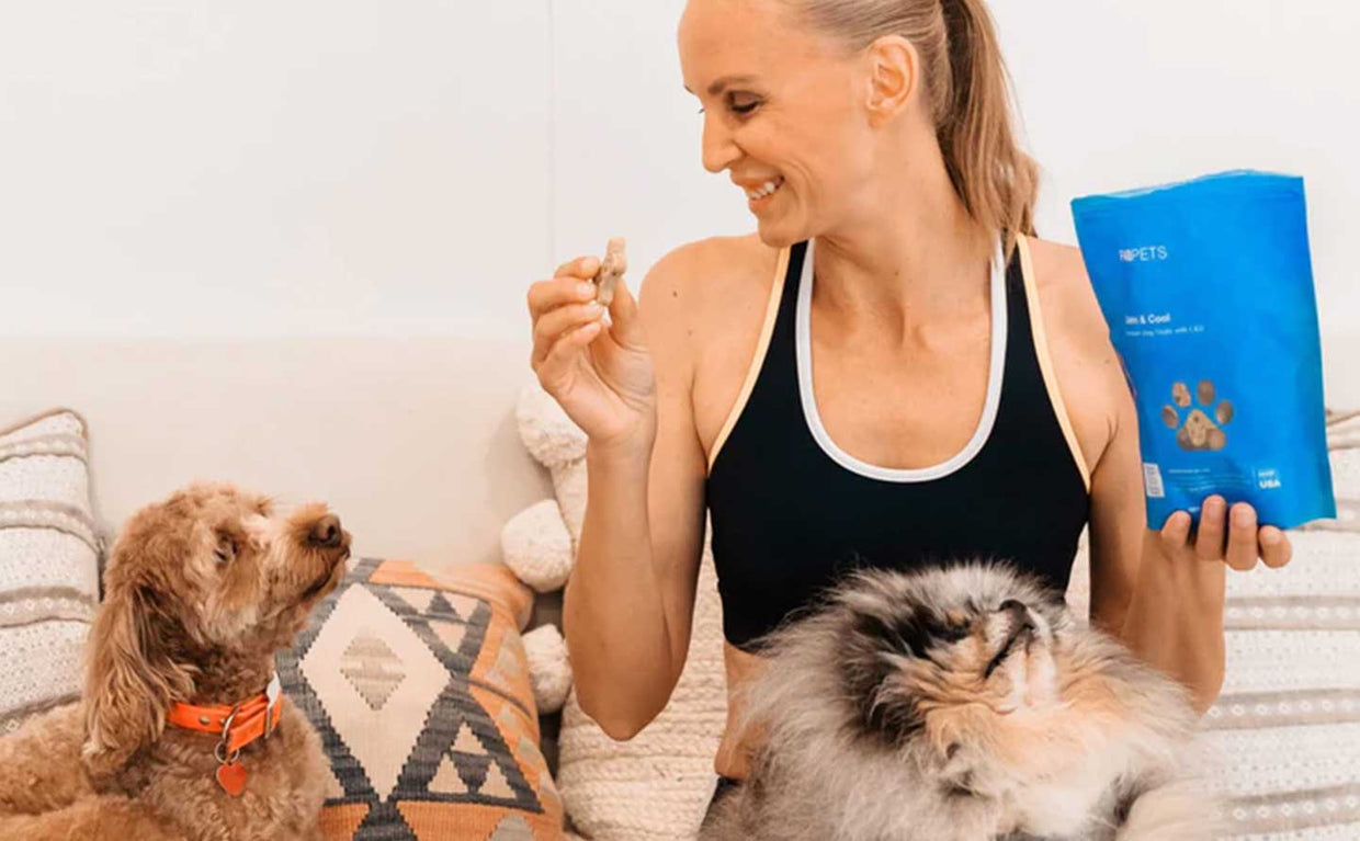 woman about to give her dog a cbd dog treat