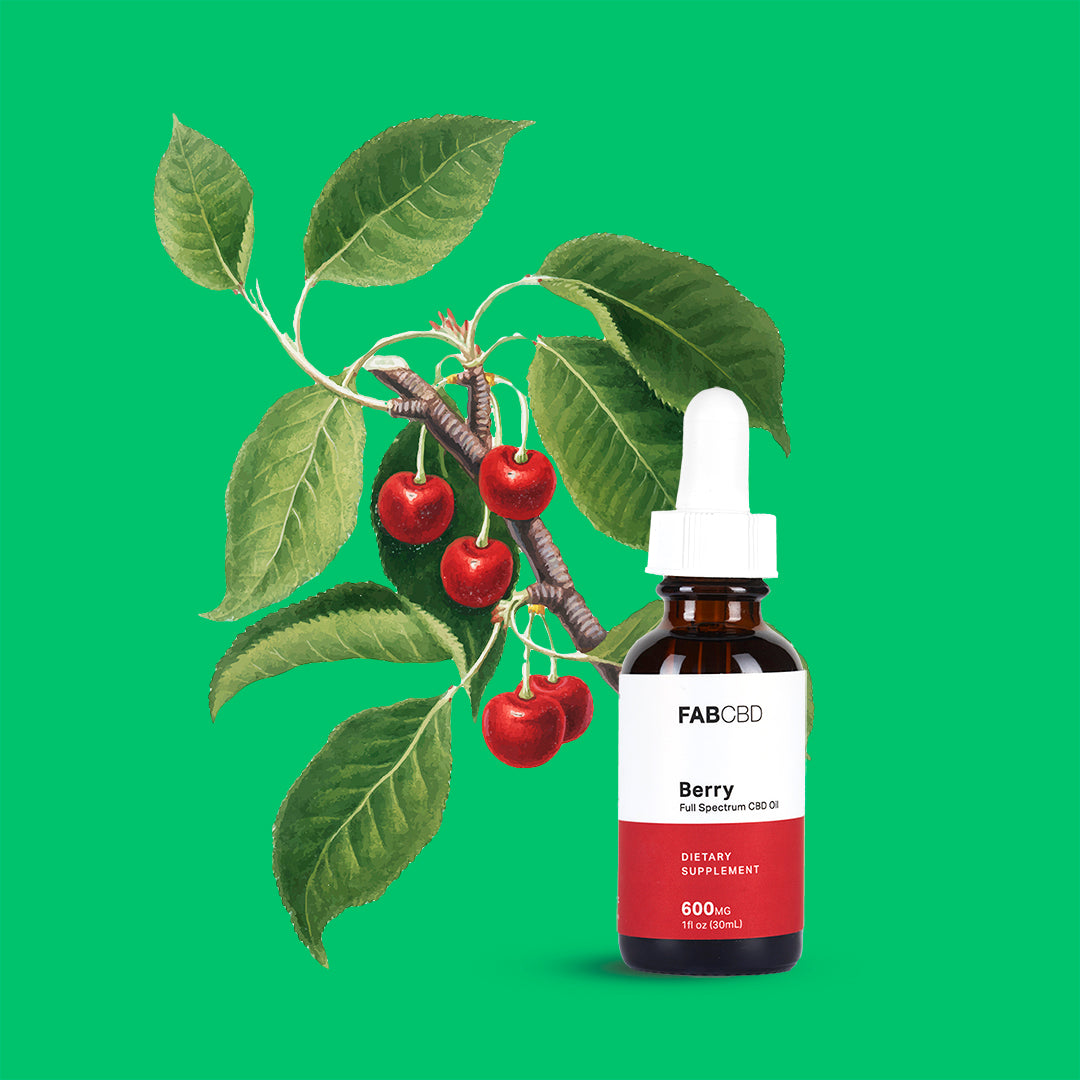 Front-facing FABCBD CBD Oil bottle labeled "Berry" with a white dropper beside illustrated cherry branch on green background